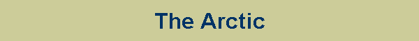 The Arctic