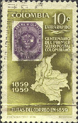 SCN C354