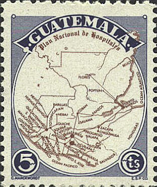 SCN 337