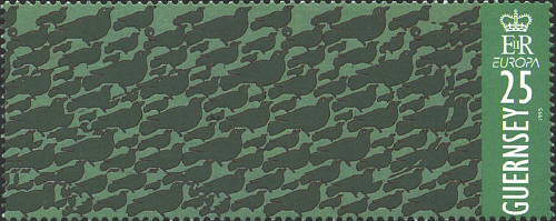 SCN 351